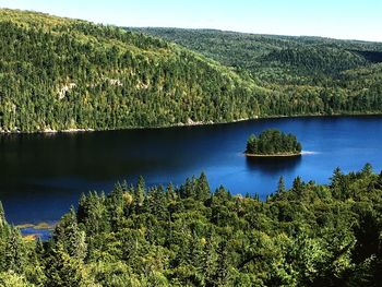 Scenic view of lake in forest against sky