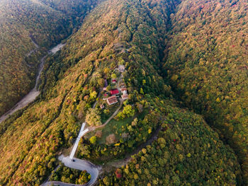 High angle view of road amidst trees on landscape