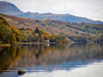 Scenic view of calm lake in forest