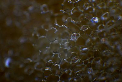Full frame shot of water drops on leaf