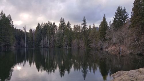 Reflection of trees in lake against sky