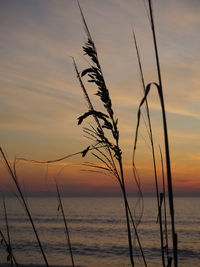 Scenic view of sunset over sea