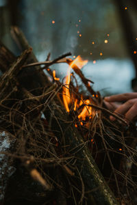 Close-up of hand holding bonfire