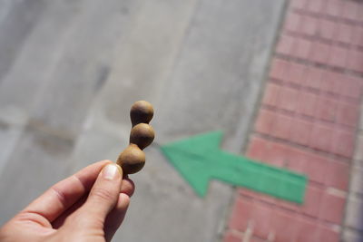 Close-up of hand holding leaf