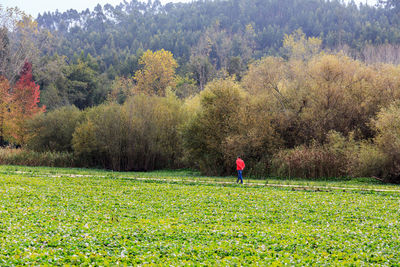 Man standing by tree on field during autumn