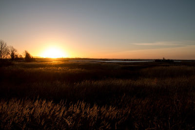 Scenic view of field against sky during sunset