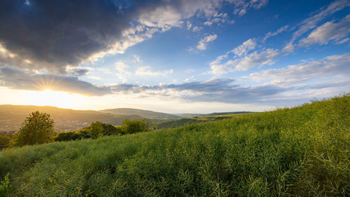 nature
