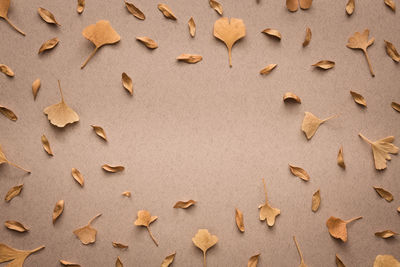 High angle view of leaves on paper