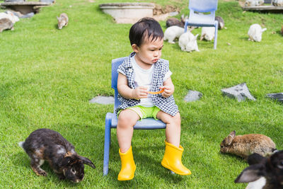 Portrait of boy playing with dog on field