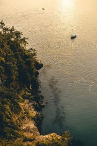 High angle view of trees by sea