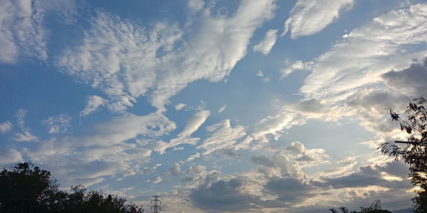 Low angle view of silhouette trees against sky