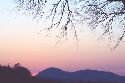 Silhouette trees on landscape against sky at sunset