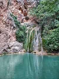 Scenic view of waterfall in forest