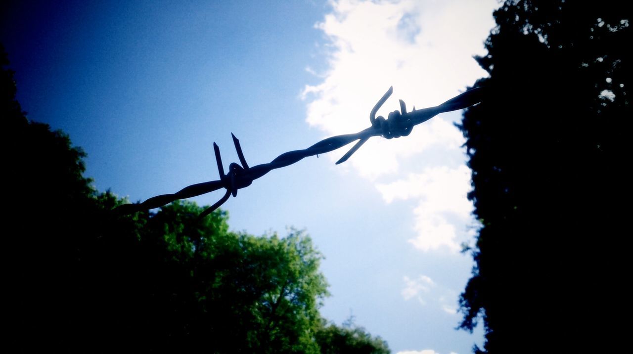 low angle view, sky, tree, silhouette, cloud - sky, cloud, nature, dusk, outdoors, blue, growth, no people, tranquility, day, branch, cloudy, beauty in nature, metal, built structure, plant