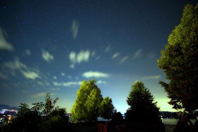 Low angle view of silhouette trees against sky at night