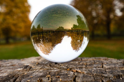 Reflection of trees on crystal ball during autumn