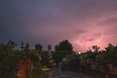 Panoramic view of trees against dramatic sky at night