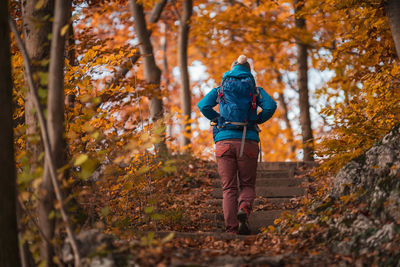 Rear view of backpack woman walking on footpath in forest during autumn