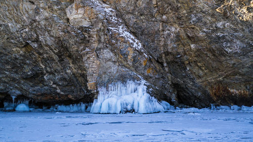 Snow covered trees in water