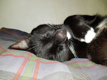 Close-up of cat sleeping on bed at home