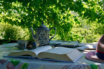 Coffee and book on table at yard