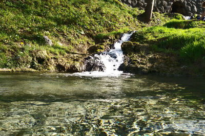 Scenic view of waterfall in forest