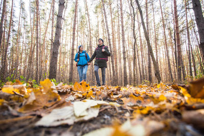 People on leaves in forest during autumn