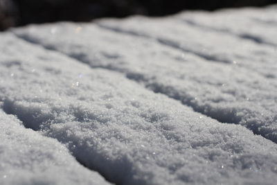 Close-up of surface level of ground