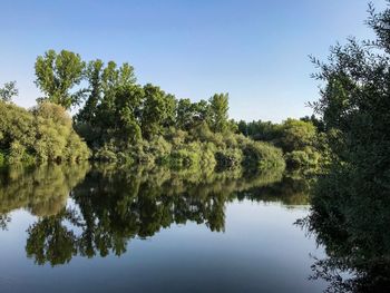 Reflection of trees in lake against clear sky