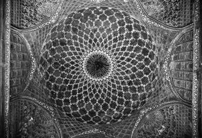 Full frame shot of cactus