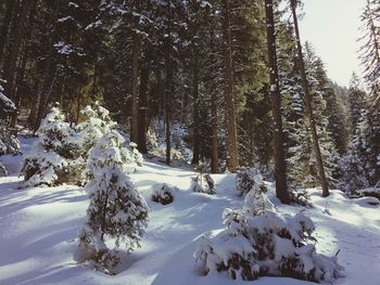 Scenic view of snow covered landscape