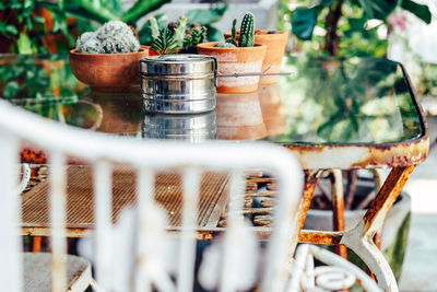 Close-up of potted plants on table