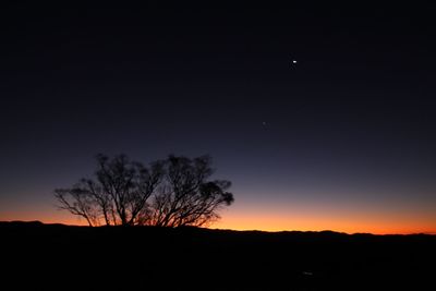 Silhouette of trees at sunset