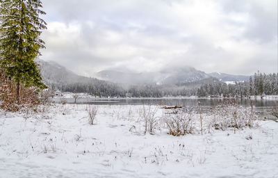 Scenic view of lake by snowcapped mountains against sky