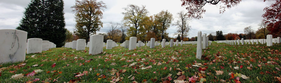 Panoramic view of cemetery against sky