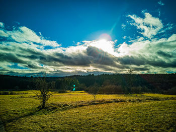 Scenic view of field against sky