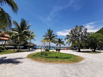 Palm trees by swimming pool against sky