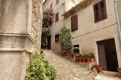 Low angle view of old building