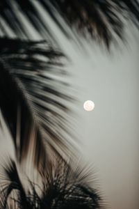 Low angle view of moon against sky at night