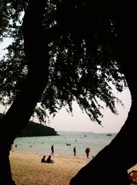 Silhouette people on beach against clear sky