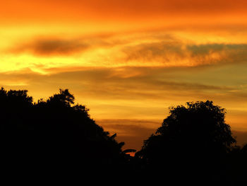 Low angle view of silhouette trees against orange sky