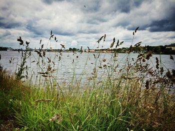 Scenic view of lake against cloudy sky