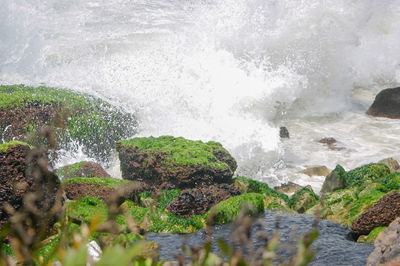 Stream flowing through rocks