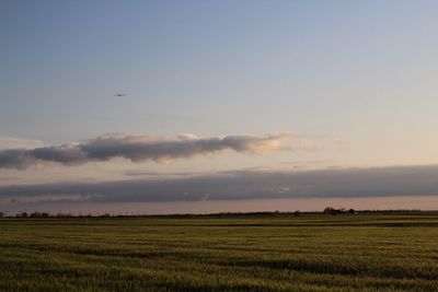 Scenic view of field against sky during sunset