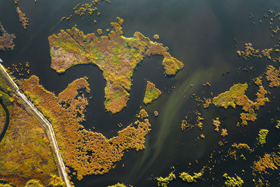 Aerial view of delta in autumn