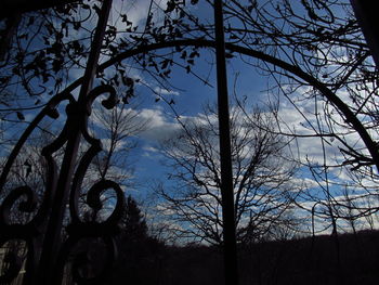 Low angle view of trees against sky