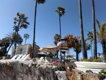 Low angle view of palm trees by swimming pool against building