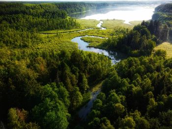 High angle view of waterfall amidst trees in forest