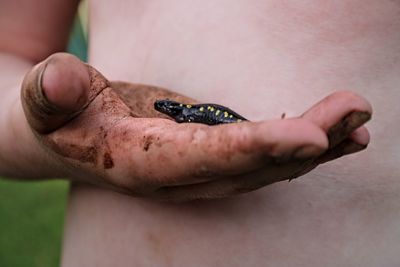 Close-up of hand holding lizard