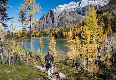 Rear view of man standing by lake in forest